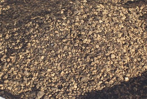 kuru pirina